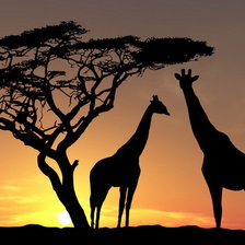 Схема вышивки «саванна3»