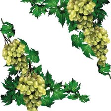 Схема вышивки «Виноград»