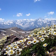 Схема вышивки «Пейзаж»