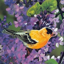 Схема вышивки «Серия "Птицы"»