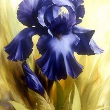 Схема вышивки «ирис»