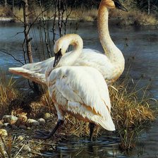 Схема вышивки «Художник Brenders Carl»