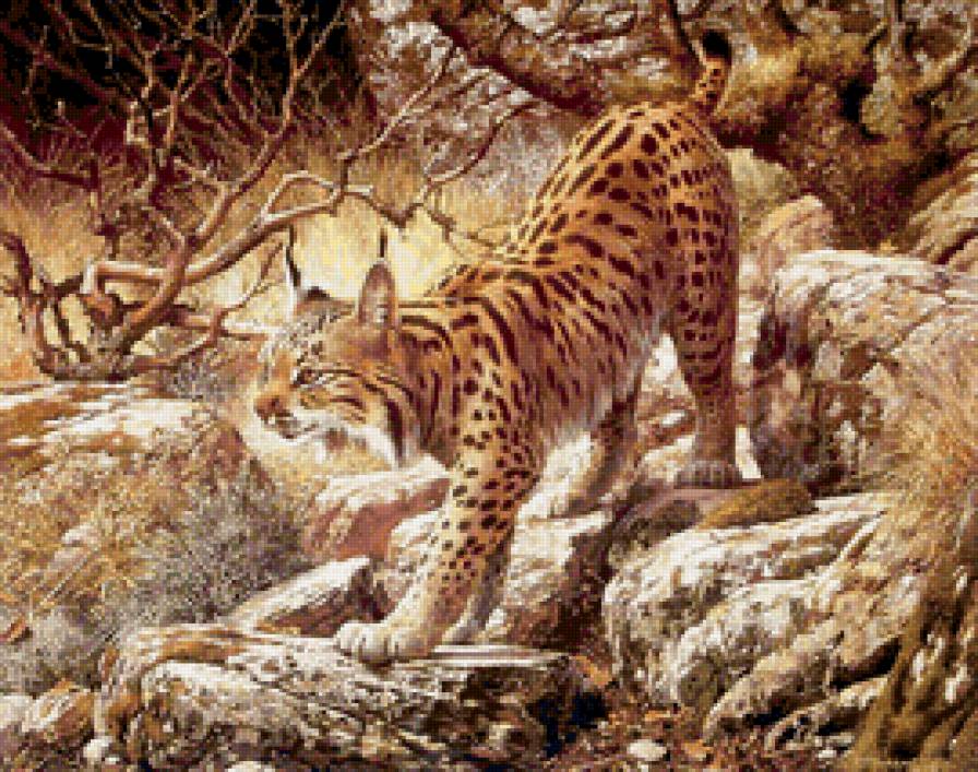 Художник Brenders Carl - животные, кошка, рысь, хищник - предпросмотр