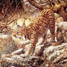 Художник Brenders Carl