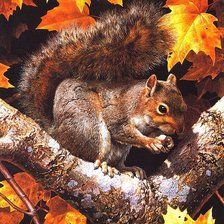 Художник Brenders Carl