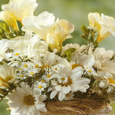 Схема вышивки «Цветули»