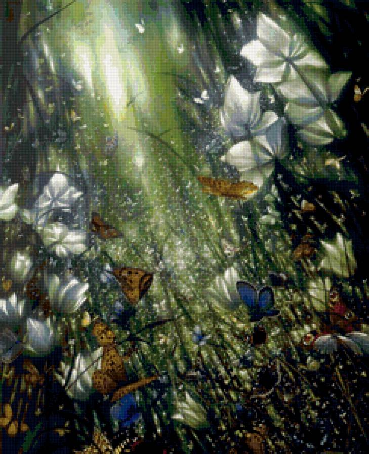 Бабочки - бабочка, цветы, свет - предпросмотр