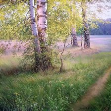 Схема вышивки «Березовая роща»