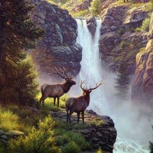 Схема вышивки «У водопада»