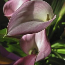 Схема вышивки «№103140»