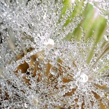 Схема вышивки «№103145»