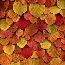 Схема вышивки «№103146»