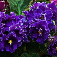 Схема вышивки «№103154»