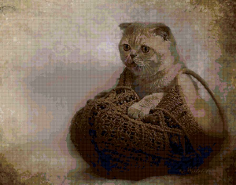 №103160 - кошки, картина, животные - предпросмотр