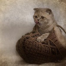 Схема вышивки «№103160»