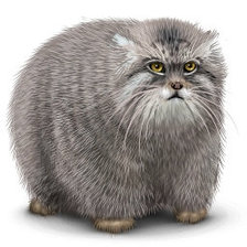 Схема вышивки «№103167»