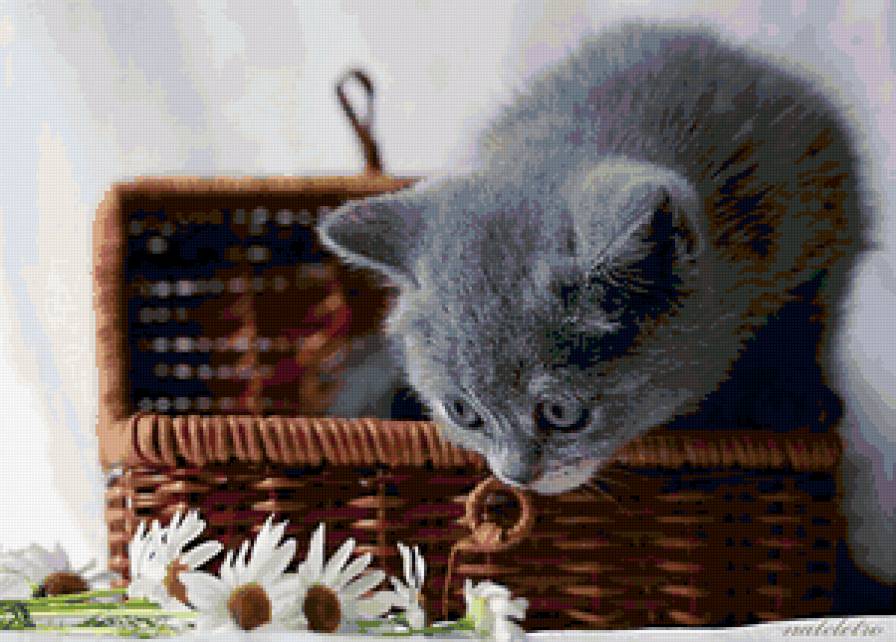 №103177 - животные, подушка, кошки, картина - предпросмотр