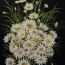 Схема вышивки «Ромашки на черном фоне»