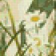 Предпросмотр схемы вышивки «Ромашки  и девочка» (№103523)