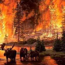 Схема вышивки «Природа»