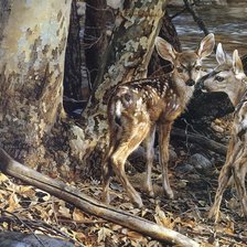 Схема вышивки «животные»