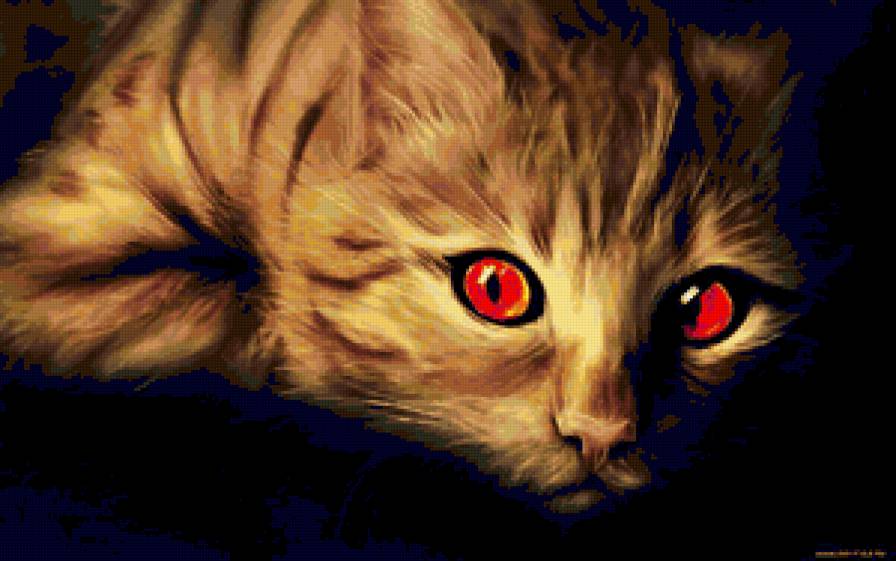 котик - предпросмотр