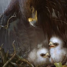 Схема вышивки «птицы»