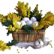 Схема вышивки «мимоза»