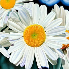 Схема вышивки «ромашки»