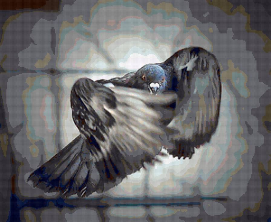 птица - птица, крылья - предпросмотр