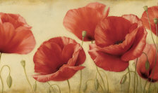 Схема вышивки «Маки»