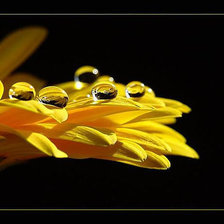 Схема вышивки «№103885»