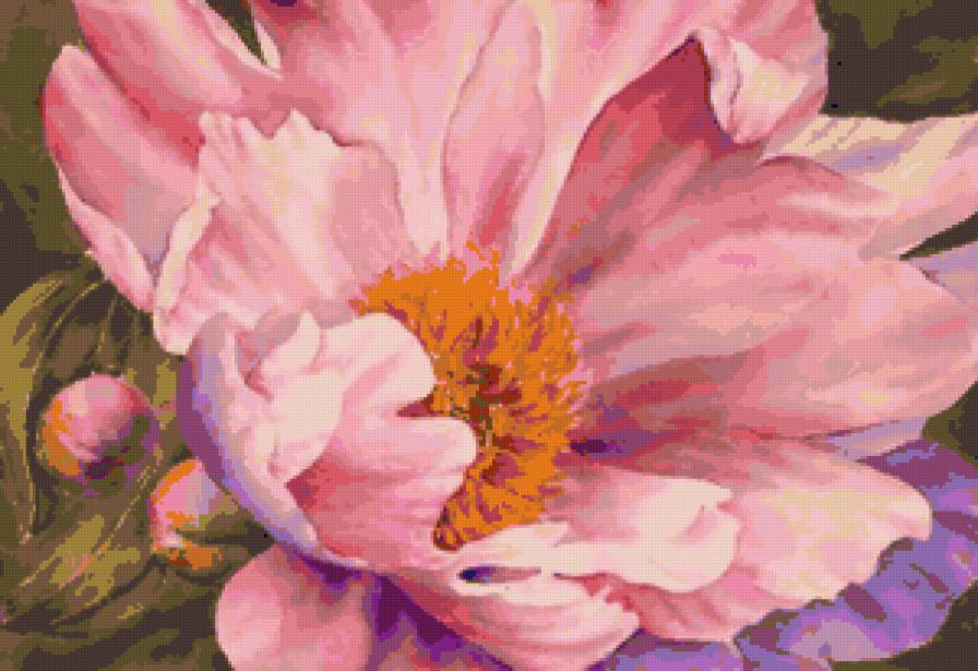 Серия "Букет" - цветы, пионы - предпросмотр