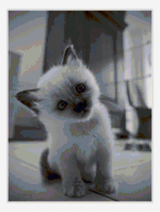 Кися - черно-белый, животные, котенок - предпросмотр