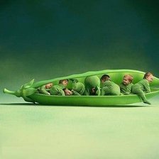 Схема вышивки «№104009»