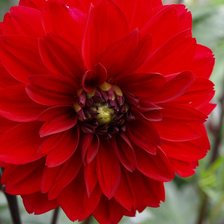 Схема вышивки «№104017»