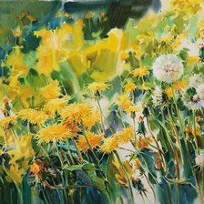 Одуванчики