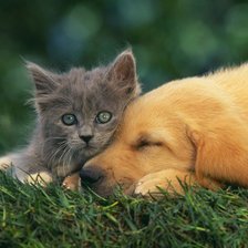 Схема вышивки «Жили два друга-товарища»