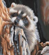 Схема вышивки «Енот»