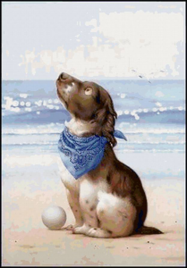 Серия "Детское" - животные, собаки, море - предпросмотр