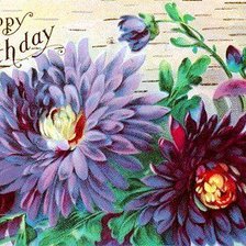 Схема вышивки «Хризантемы»