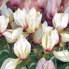 Схема вышивки «цикламены»