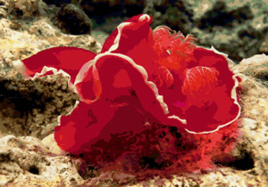 Подводный мир - подводный мир, рыбы - предпросмотр