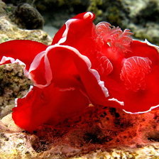 Схема вышивки «Подводный мир»