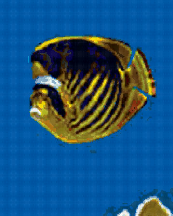 Рыбешка - подводный мир, рыбы - предпросмотр