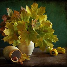 Кленовая фантазия