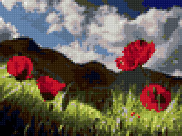 маки - маки вид цветы горы - предпросмотр