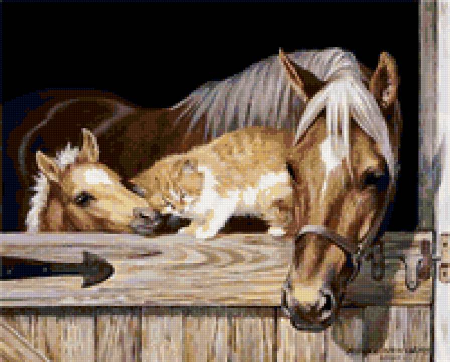 Дружба "Лошади и кот. - кот, животные, кони, лошадь - предпросмотр