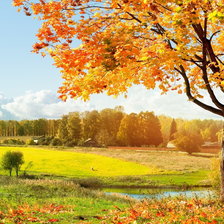 Схема вышивки «Золотая осень»