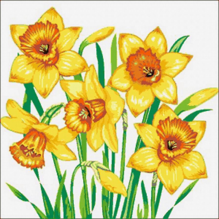 нарциссы - подушка, цветы, нарциссы, нарцисс, подушки, весенние цветы - предпросмотр